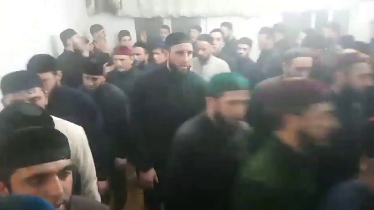 Ресторан вежарий назрань Ресторан вежарий назрань