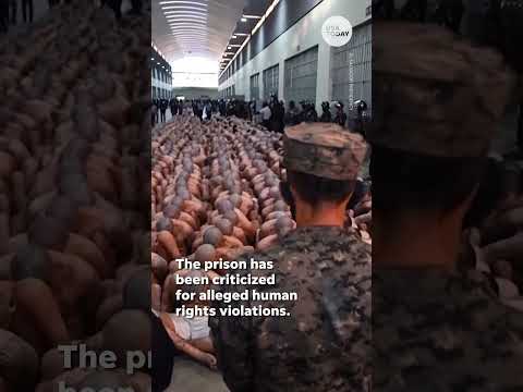 El Salvador Transports 2,000 Gang Members To New Prison | Usa Today Shorts