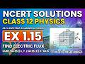 Exercise 1.15 Solution - Class 12th NCERT Physics Chapter 1 - Electric Charges and Fields (C.B.S.E)