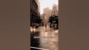 صب يا مطر يغدي بخيال الفلح من أغنية صب يا مطر أداء الفنان حسن الأميري اغاني عراقية حسن الأميري 