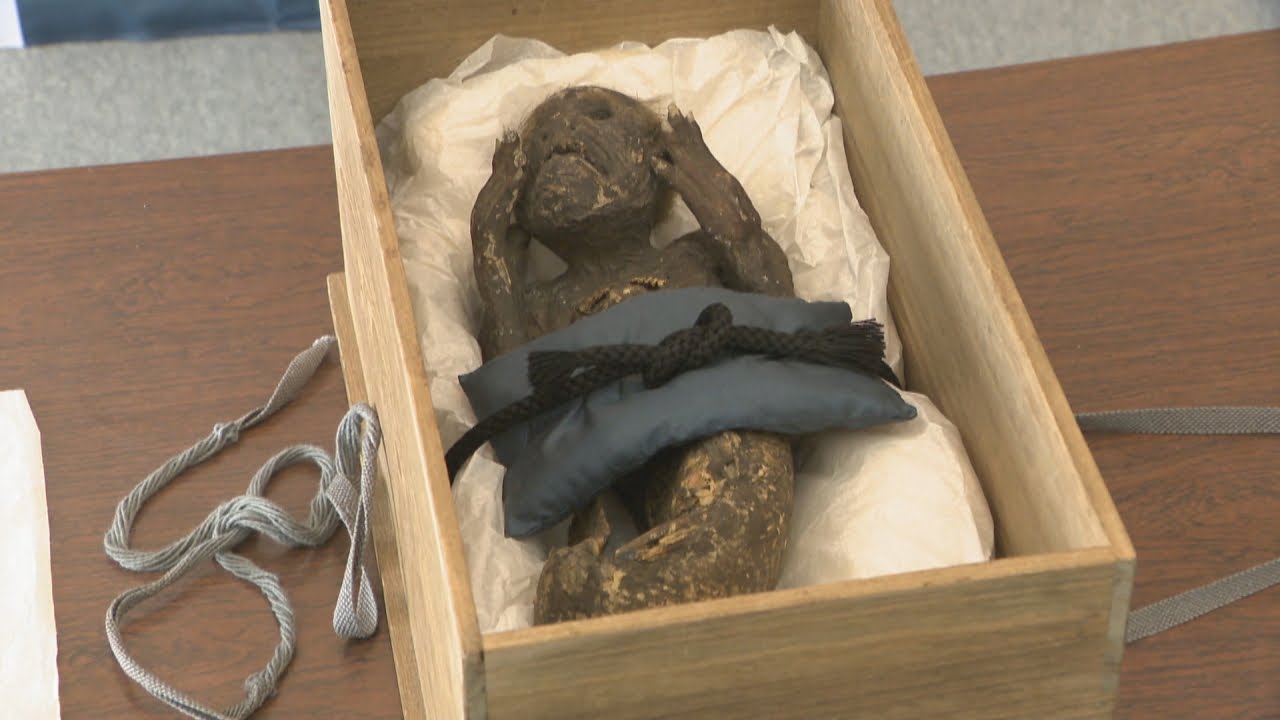 人魚のミイラ」 約1年の研究結果を報告 果たしてその正体とは 岡山