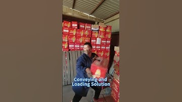 Beer in Cartons Conveying and Loading Solution with Powered Roller Conveyor - Naili Conveyor