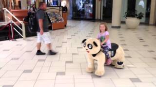 Animal Rides at The Mall Grayson Danger Tasha Luna