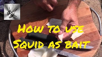 How to use Squid as bait | The Hook and The Cook