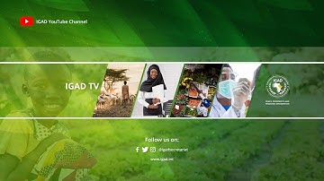 LIVE: Day 2 of Africa Climate Summit 2 | #IGADatACS2 | #RisingWithIGAD