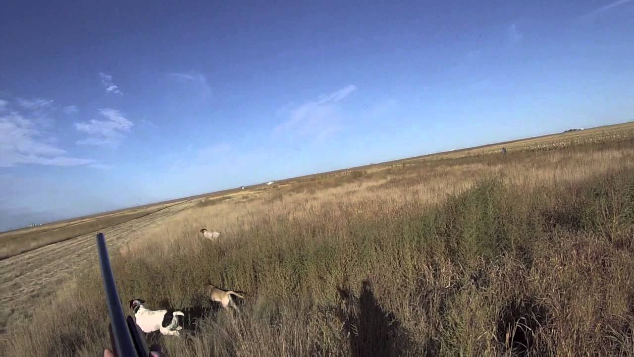 GOLDEN PRAIRIE HUNT 2014 - Sublette, Kansas