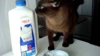 Pepsi Drinks Milk