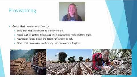 AP Env Sci Topic 2.2 Ecosystem Services