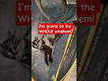 Be the WHOLE problem! #CapCut #catvideo #talkingcats #meme #solution #vanlife #funny #attitude #fyp