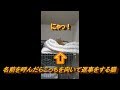 【ねこ】名前を呼んだらこっち向いて返事をする猫【パぺ家】#shorts