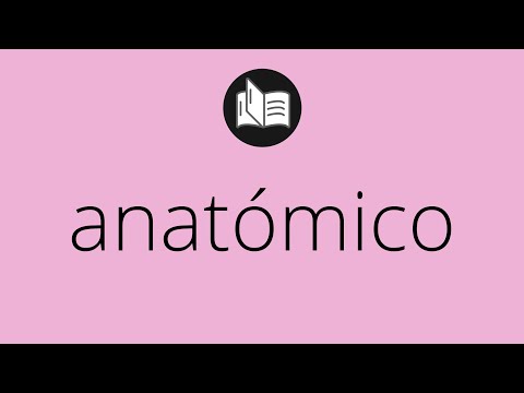 Video: ¿Qué significa no anatómico?