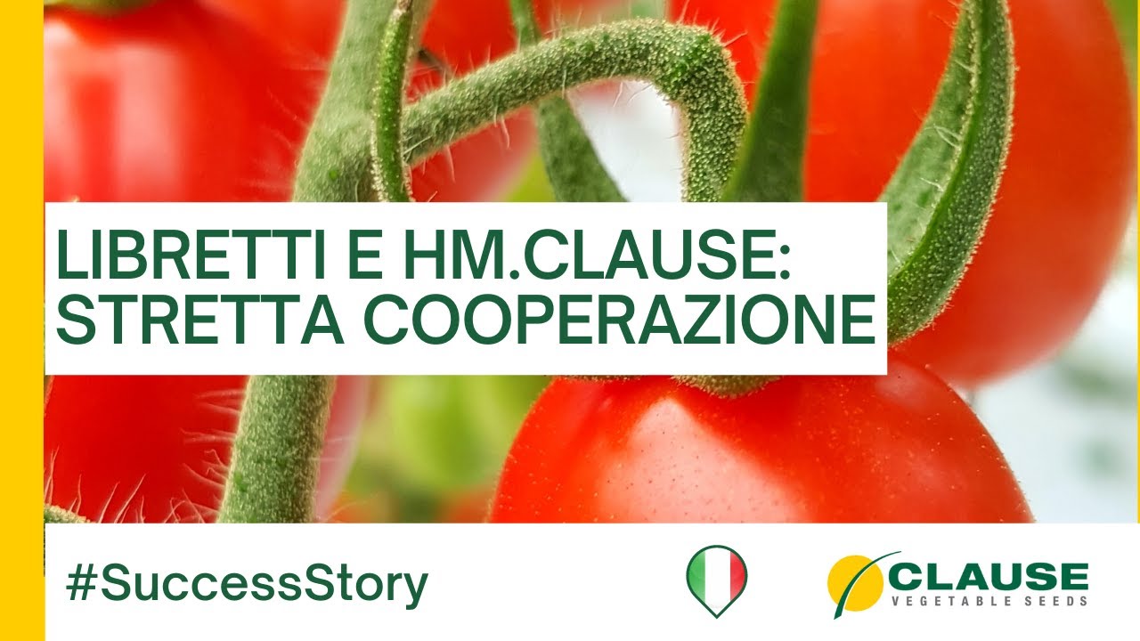 Pomodoro: il gruppo Libretti si lega al sementiere HM.CLAUSE - 