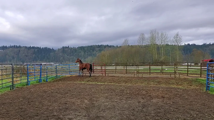 Morning turnout