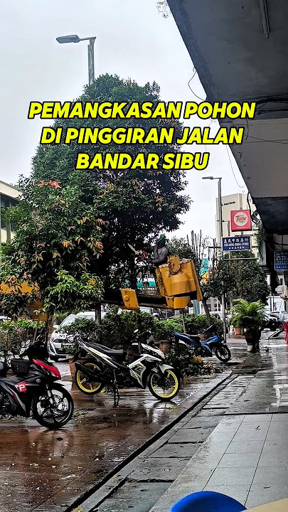 Pemangkasan Pohon Di Pinggiran Jalan Sibu Sarawak #shorts