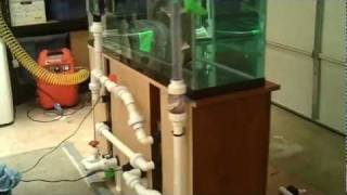 Leak Test - Custom Split Sump & Refugium System