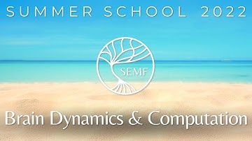 Brain Dynamics & Computation | Joana Soldado-Magraner | Summer School 2022