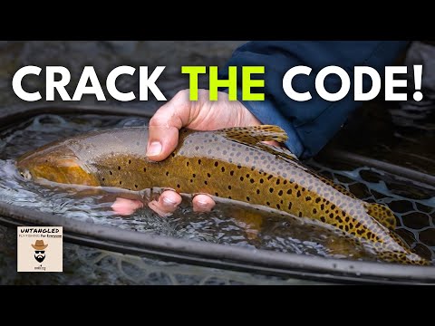 What Are the BEST Fly Fishing Waders? - Podcast Ep. 57 (Untangled