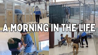 Dog Business Owners' Day in the Life VLOG | A Slow Monday Morning in February at Our Dog Facility