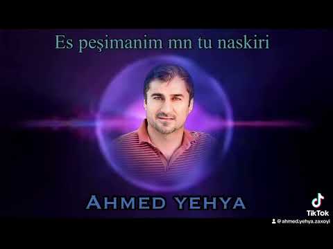 Ahmed yehya es peşimanm