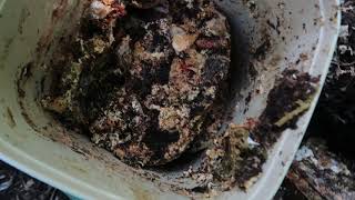 How Long Can You Leave Bokashi Fermenting?