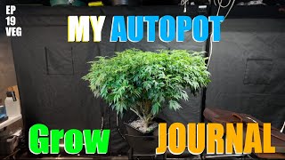 The Coolest Way to Grow Cannabis: My AUTOPOT Grow Journal