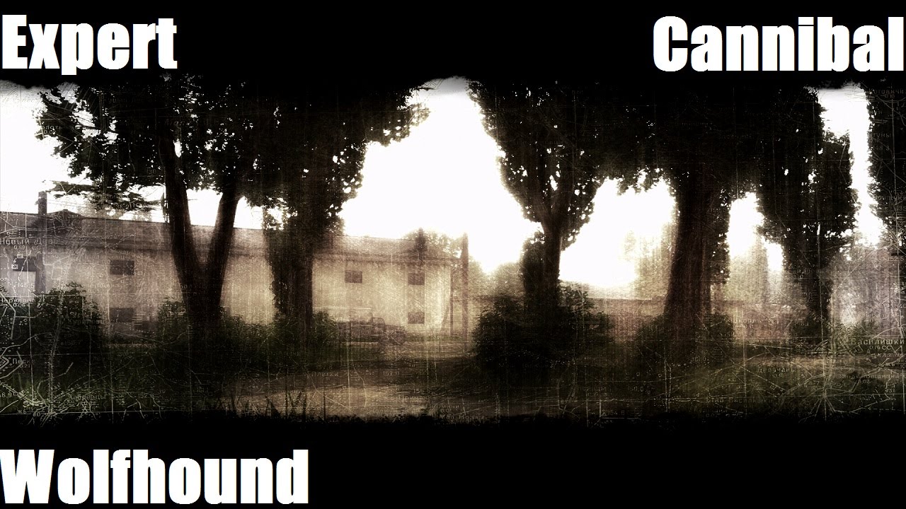 Death to Spies walkthrough: Cannibal (Expert | Wolfhound)