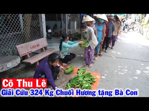 Video Cô Thu Lê tiếp tục Giải Cứu 324 kg Chuối Hương tặng bà... - youtube