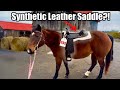 Saddle Shopping After I Realized I Had a BIG Problem.