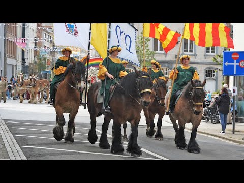Belgian Draft Horses of different coat color in the Hanswijk procession in Mechelen