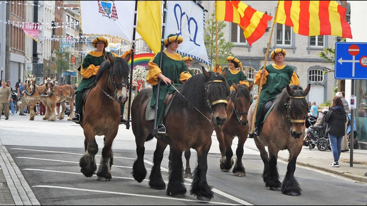 Belgian Draft Horses of different coat color in the Hanswijk procession in Mechelen