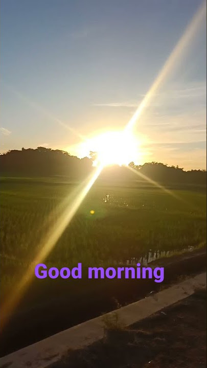 Pagi yg cerah dengan hangat nya Sinar mu Matahari ☀️☀️☀️ ku