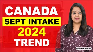 CANADA SEPT INTAKE 2024 TREND | STUDY VISA UPDATES 2024 |  USA CANADA UK | THE VISA OFFIC