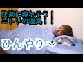 【ニトリで涼しいアイテム】見つけた。夏の夜はこれで乗り越えられそう。#018