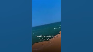 (سورة الرحمن، الآية 19)