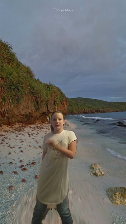 beach green screen