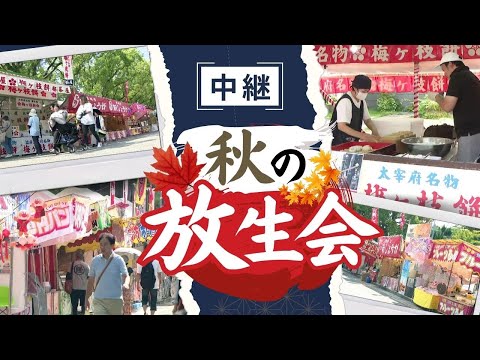 【中継】５００露店で賑わう２０２３年の筥崎宮の「放生会」賑わいの様子