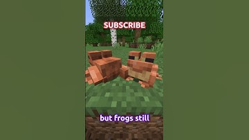 The Minecraft 1.20 Update