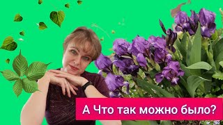 Мое утро. Как начинаю его сегодня. Завтрак вдвоем. Основной уход за лицом.