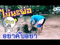 🐘🍼จ่นได้ มิ่งนะมิ่งทำไมกับพ่อแบบนี้🤣🤣🤣