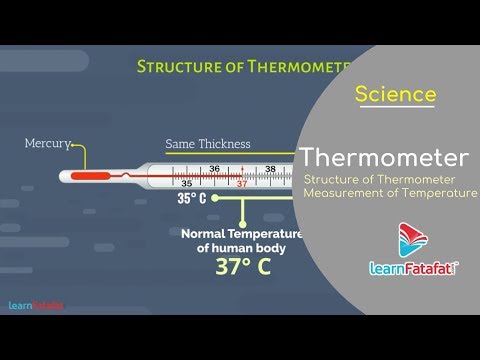 हीट क्लास 7 विज्ञान - थर्मामीटर - क्लिनिकल थर्मामीटर - तापमान का मापन