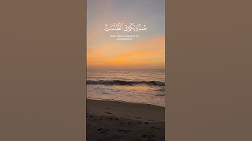 سورة الأنعام الآية ٣٨