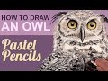 How to Draw with Pastel Pencils - Owl