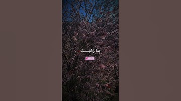 تلاوة طيبة هادئة #آرح قلبك #المنشاوي #طالبة_علم #اكسبلور #تلاوة_هادئة 🕊️🫧🌸