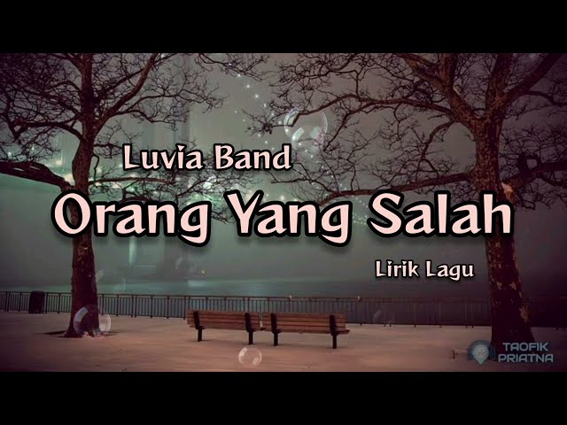 Orang Yang Salah - Luvia Band (Lirik Lagu) class=