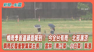 【新聞一點靈】梅雨季首道鋒面報到！ 今全台有雨、北部濕涼　晴雨反覆衝擊葉菜生長！ 雲林「青江菜、小白菜」飆漲