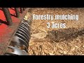 Forestry Mulching a 3 Acre Lot