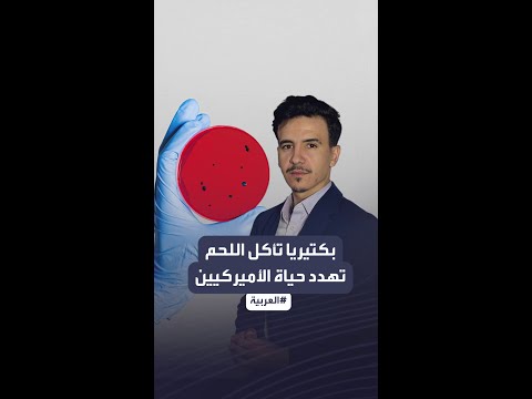 آكل لحوم البشر على شواطئ أميركا يبتر الأطراف ويفترس الإنسان في ساعات