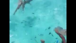 Usain Bolt And His Wife Kasi Swimming With Sharks