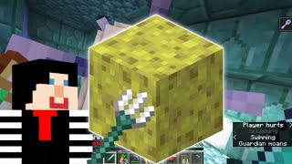 How to get Sponges safely in Minecraft 1 19