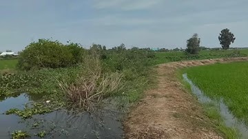 Câu Cá Rô Đồng. móc lỗ nhấp nháy vài phát là đóng thứ gì chiệu nổi.@tranchungcuchi